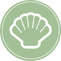 molluscs